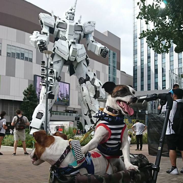 3027ea44 32ef 4867 8227 4ec68a429331 1535094556153