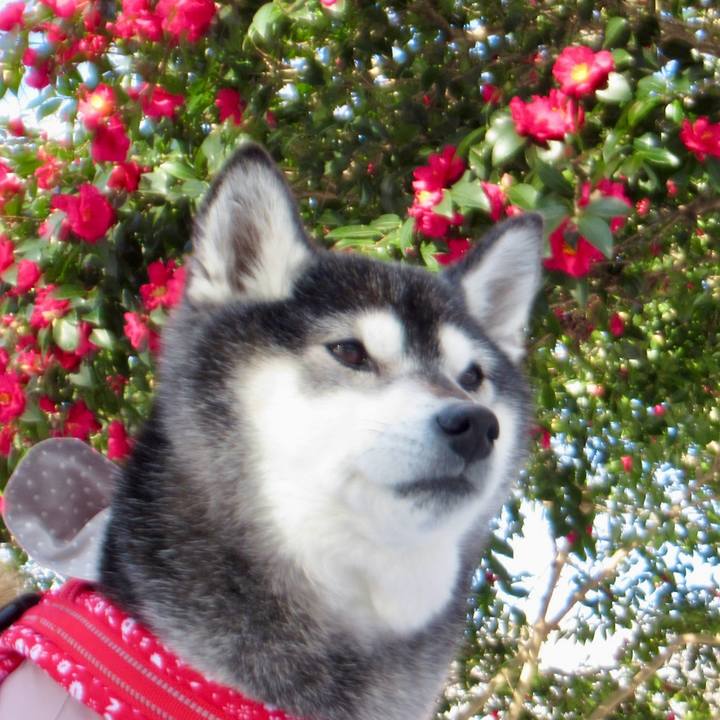 302820f2 911a 48f0 816f faf804ac4b8b 1769068827010