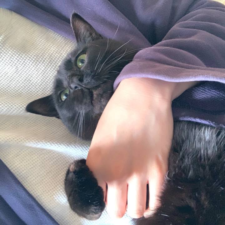 30282650 b01c 49ed ad15 ad571232eb59 1554279327777