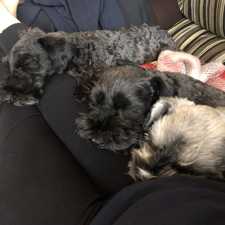 30287182 53c8 49f0 aaf2 d85159fce8fa 1586388979678