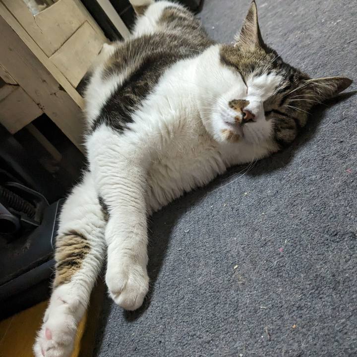 3028884e 9bac 461c 8e25 dd10d8a77124 1714679235898