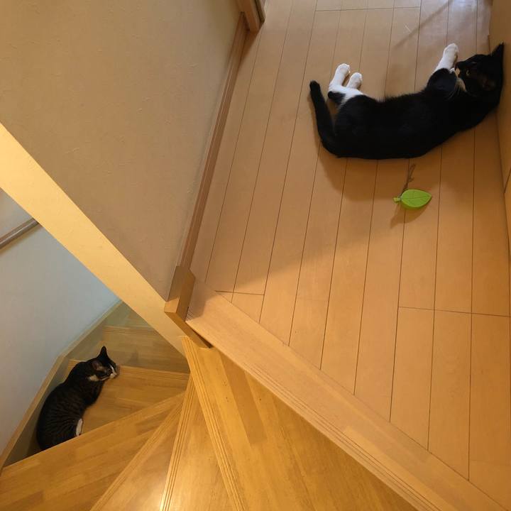 30290d11 9bdf 4496 b4ef fafb5aff6f93 1531428823789