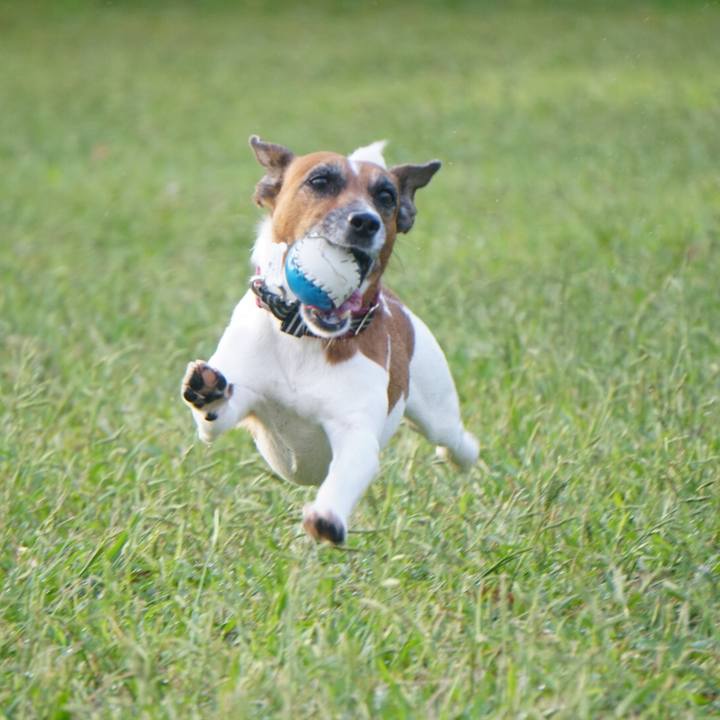 302918cb d50f 4202 9408 beae3b231a39 1569970816372