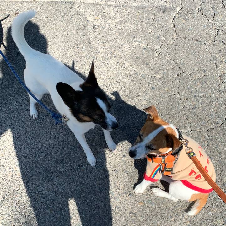 30292132 aa1c 4321 b0a5 7040171c1012 1585013109418