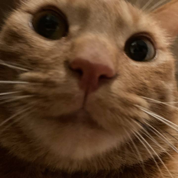 302939f6 d2d3 4a96 b779 02b8ff9a7eed 1616584964047