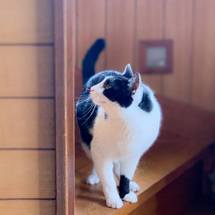 30295e95 6409 4e8f 99ee c800d6671555 1591147896885