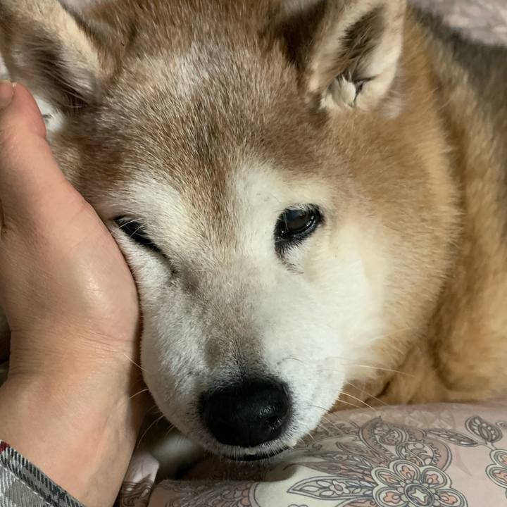 30297e4c 1565 4634 abc5 75cb8acd06ea 1646263325045