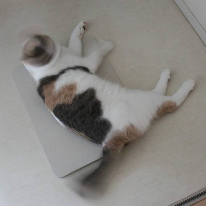 30298c20 2adf 4faa 8902 ca2ecf020ca9 1548337102789