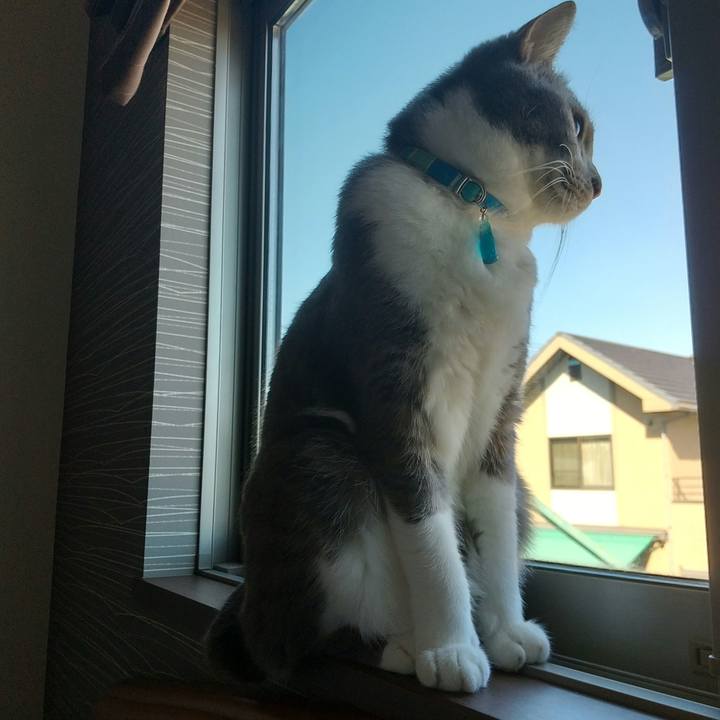 30299142 a4b6 4686 b871 0be3bb9f0dc9 1635038976465