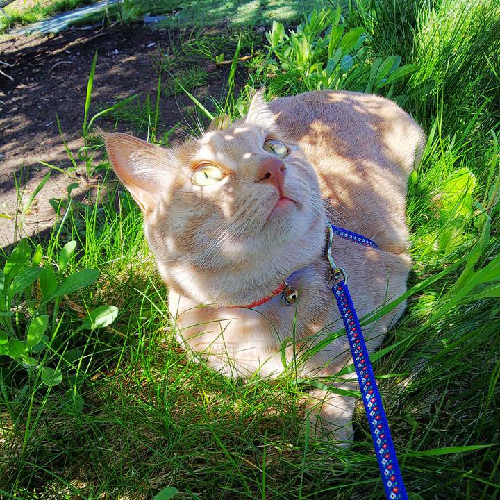 30299193 4a61 4211 8f58 3867d851908f 1589431285765