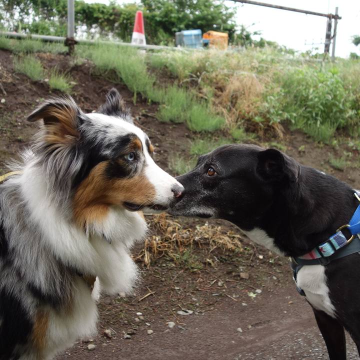 30299831 4cc2 415f ba55 a106590cb8d5 1748132045753