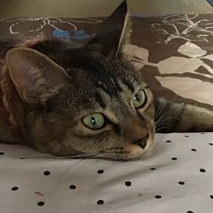 30299d20 e02f 41e2 a6f4 ceeaa9a49e83 1633845402519