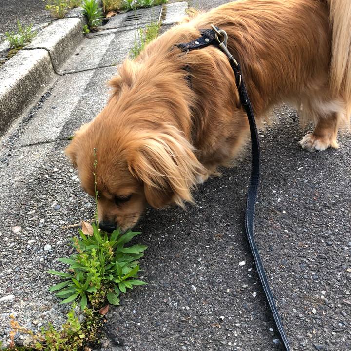 3029c1d0 5092 4e80 949a 779181c9dfdf 1524864756271