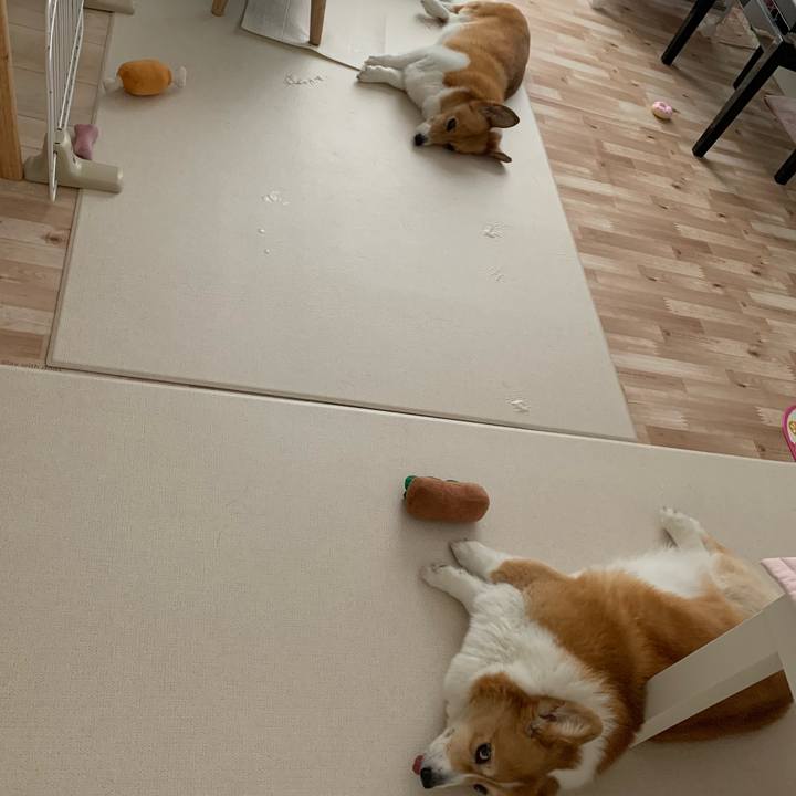 3029d511 85b7 44ba 871d 16ec489e286f 1721950373896