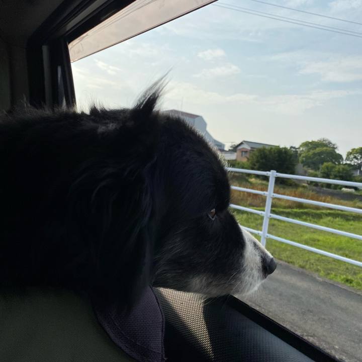 3029dc90 5745 41e6 8b1e 0d43b196df0a 1685138815536