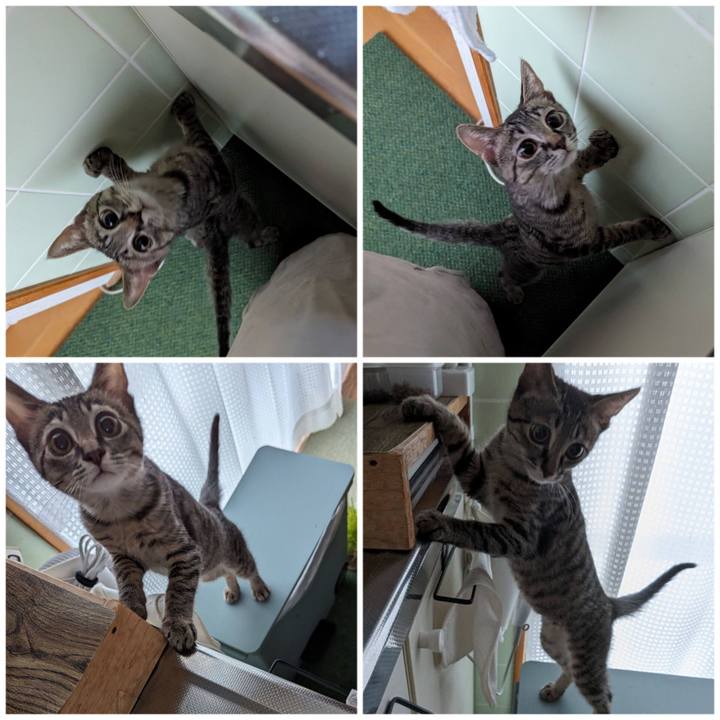 3029e1c4 ff5f 4378 aa91 4ef5040a2272 1702790445174