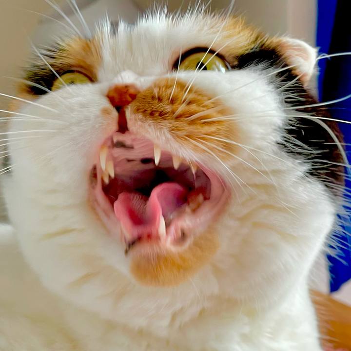 3029e915 9981 4d5d 9f5a e4331b725e3d 1657839027771