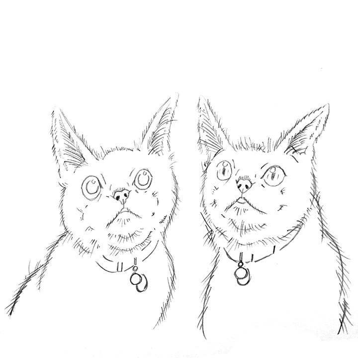 302a0cbc ad22 43bb 8f3d 73a84e3ef303 1635168134858