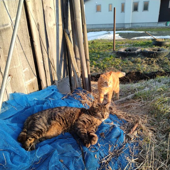 302a320c 7e39 4eca a032 3c5dd030ff47 1678871861430