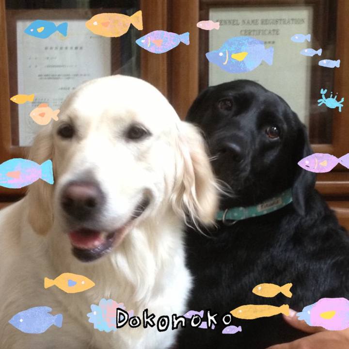 302a32bd b522 42b1 bd03 0efbb91806ea 1755391912655