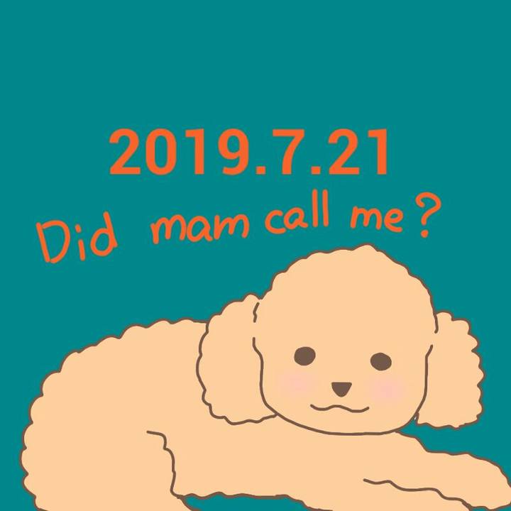 302a389e 6b44 4c68 8380 3ad64e6e75f4 1563713114328