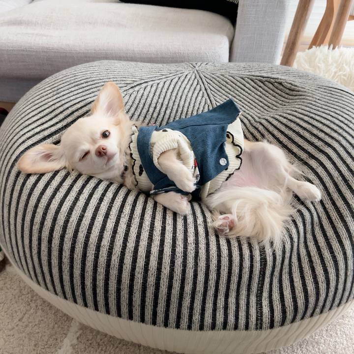 302a452f ebea 45a5 8963 4dc4eb55142c 1729500796838