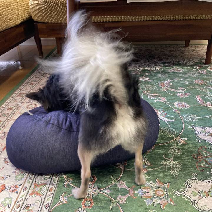 302a6aa2 f35f 426c 8021 4988f82f56b5 1658067762491