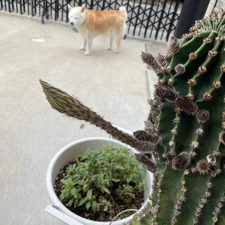 302a755c 2bd3 4d9b 9d95 cb68ce2dacd3 1651101157738