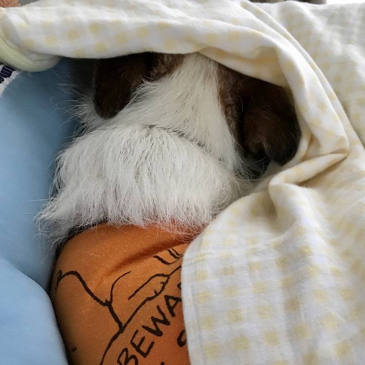 302a8401 ef2b 44b6 9dd7 a30694527b93 1599890475214