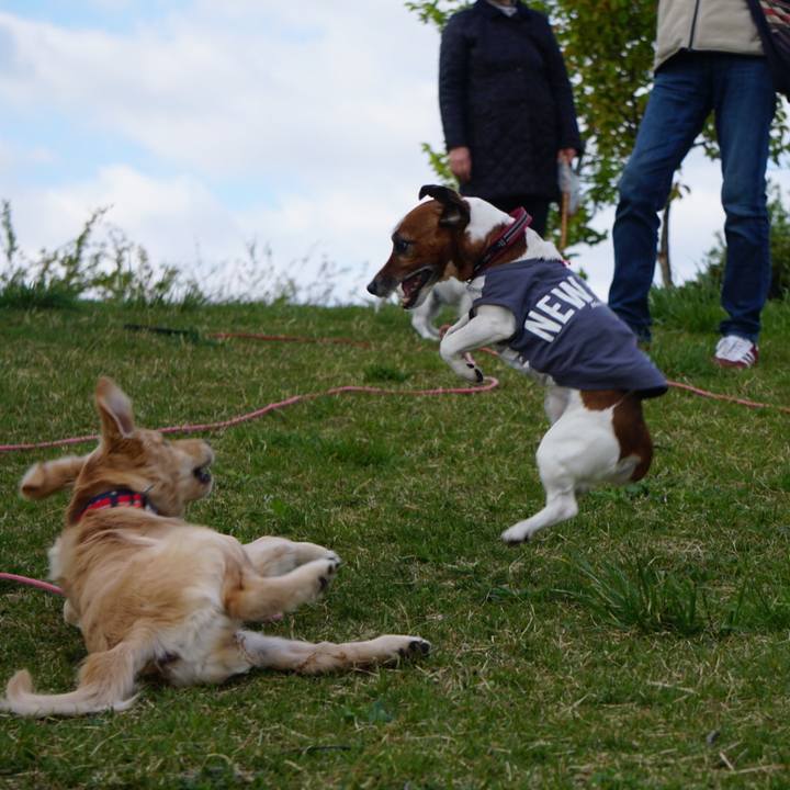 302a9fbd ca3b 40e8 9f36 94e8ffd0dfd5 1587683152323