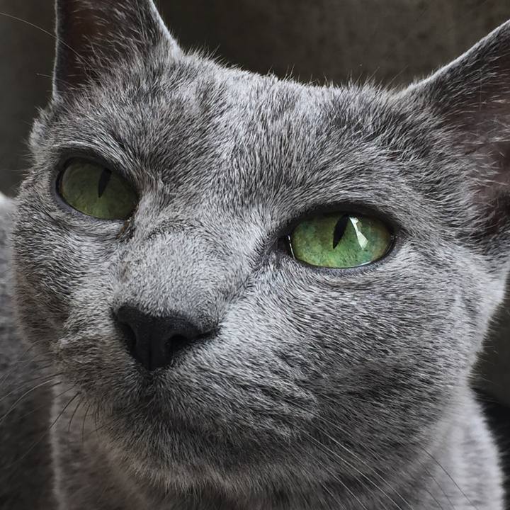 302ab2eb 1657 4011 8e0a f33e0875c4ba 1526700022081