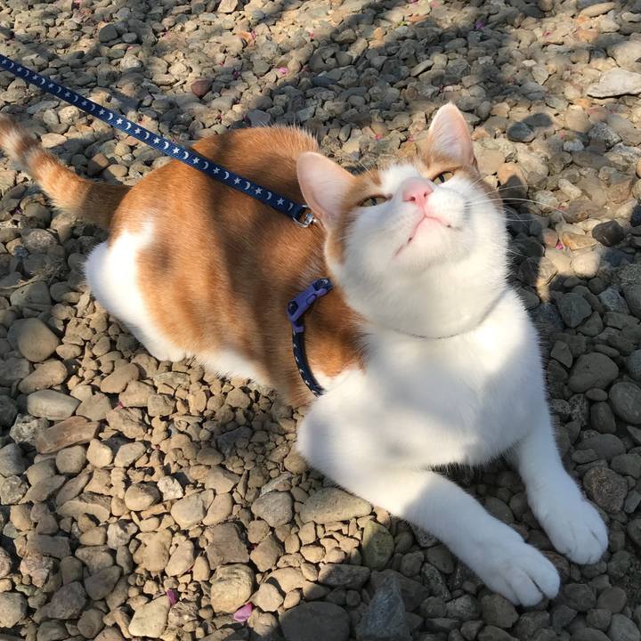 302acf8e b104 41f8 b640 508ca4fdfdd7 1524899278948