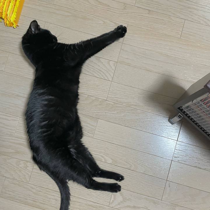 302ae216 cdd8 41a6 bcd2 5a90996d2005 1735566023300