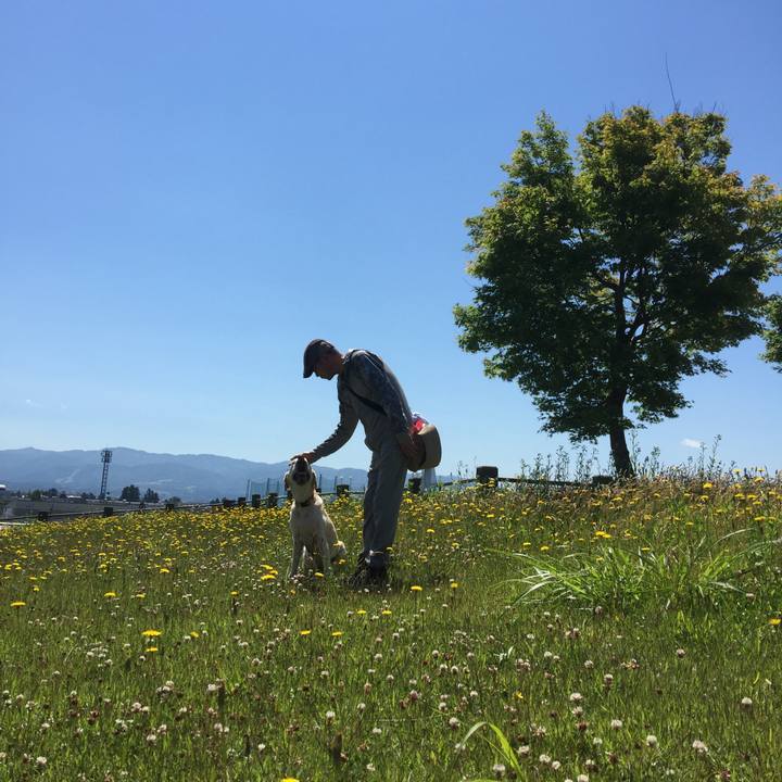 302af01a 5a71 41b3 b5e8 507fce366147 1564809754575