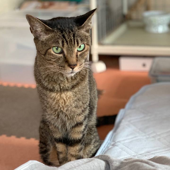 302b2195 6e8e 4afe b4d1 eaf19953c6c2 1594862005155