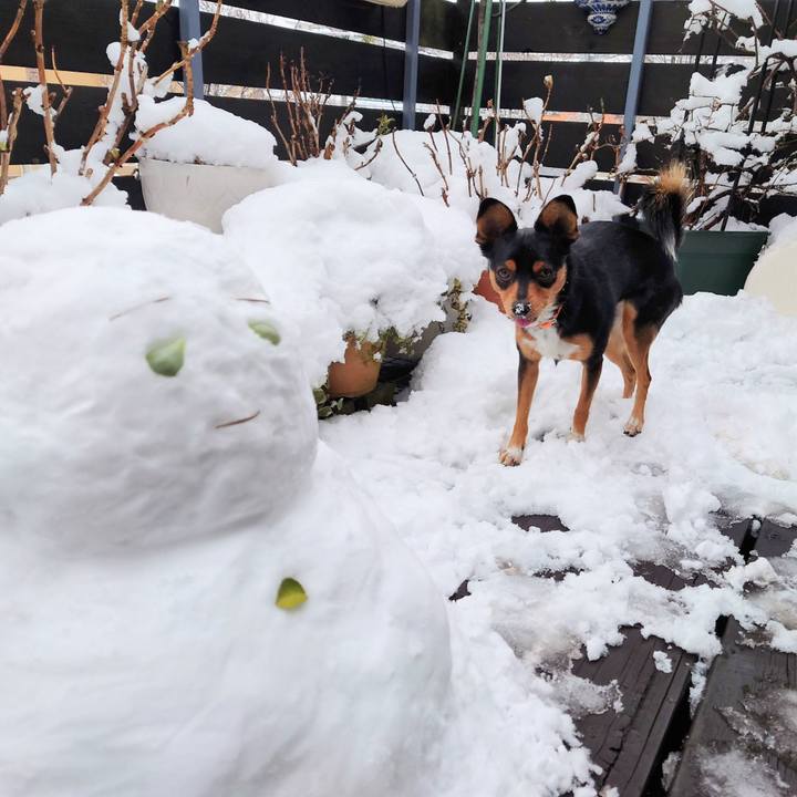 302b32c8 7fc2 4820 9e9e 0c7fdc62bdf8 1770600314910