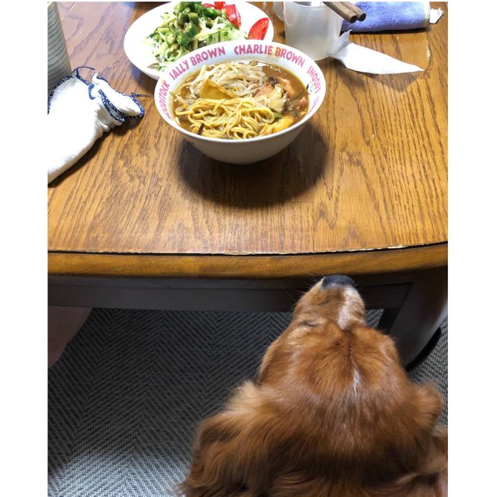 302b428f a925 43f9 8d19 596afe528e52 1598706662247