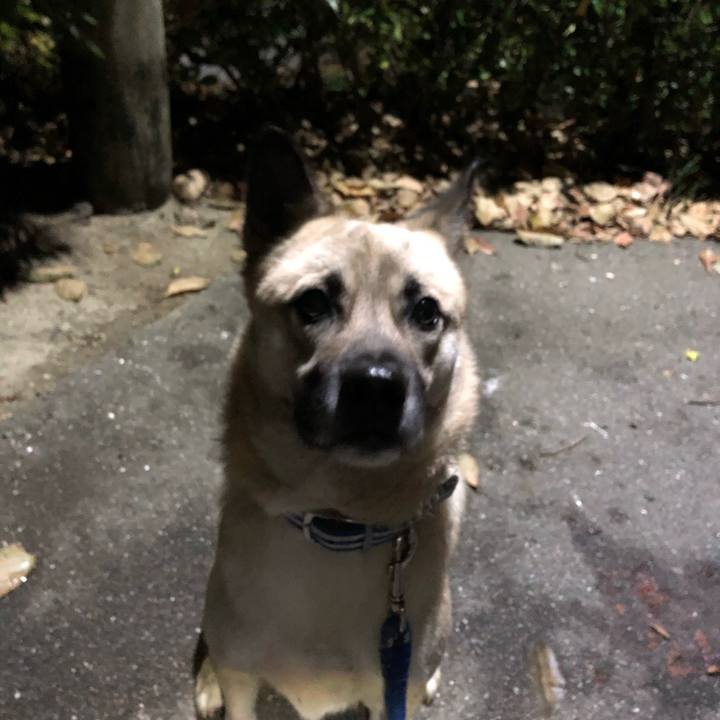 302b55b5 7790 4a05 acb1 e12eaa739eeb 1543406941981