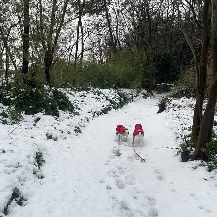 302b62b9 465c 49d8 a0e8 905e6fc7d065 1736377586059