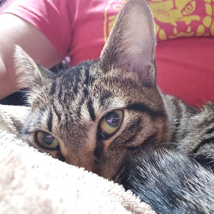 302b6bf2 cd7c 4756 94da 252bb099962d 1546626992502