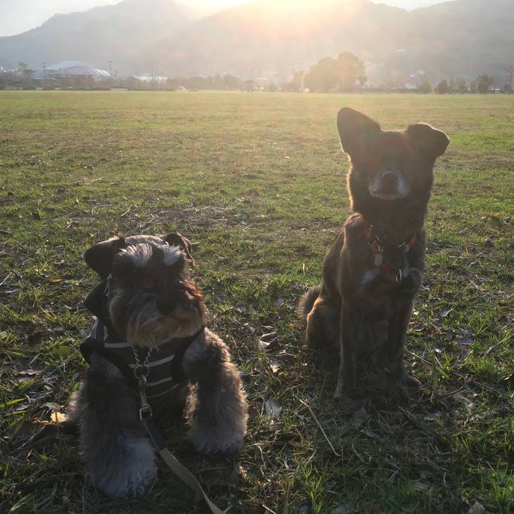 302c114b e40c 4712 be48 c66bb67874cd 1545648110417