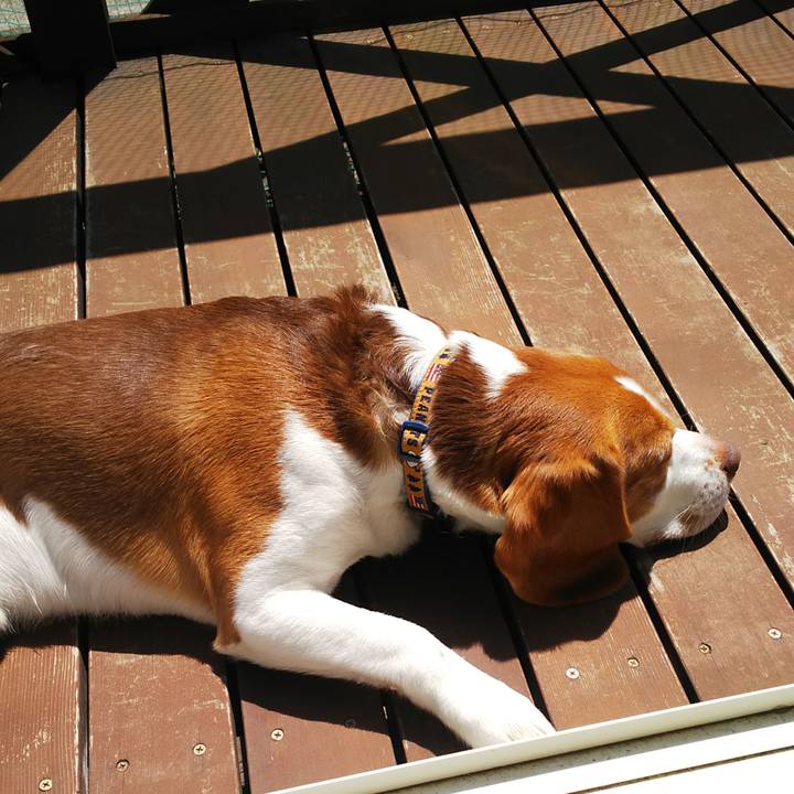 302c2e57 455a 47dd bf16 ce00b55cdbb1 1586576186631