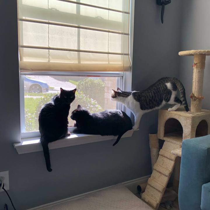 302c3f27 202a 4a42 8c1c d2a279836c03 1513957566950