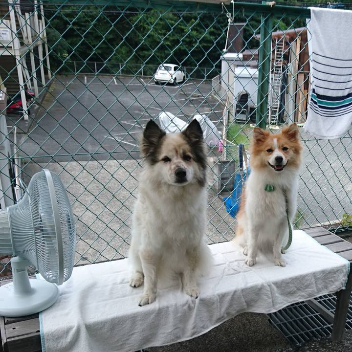 302c606f ff76 46ca a37a 093b9442e8de 1566133948046