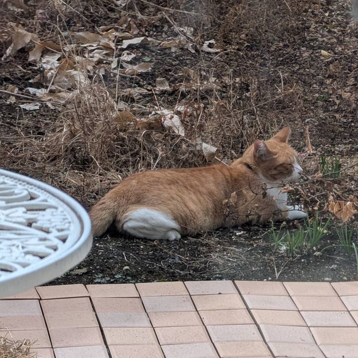 302c65dc a3b3 493a 9708 2b58908cd239 1727066719497