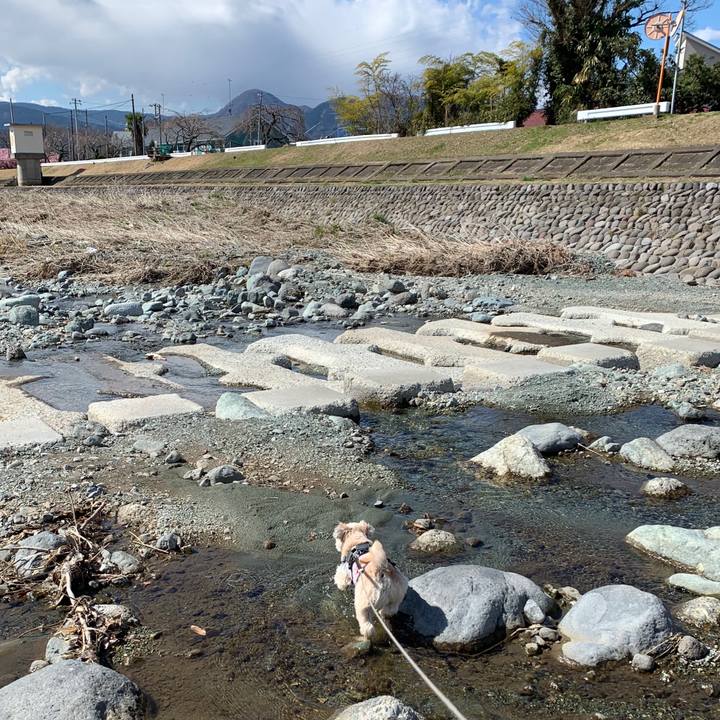 302cb1ae 0eb7 47bb 9d50 e9ff608f3d27 1582802650193