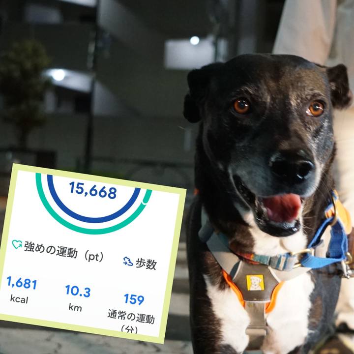 302cb23e d5c3 48a9 bed3 3469cb693b36 1761822493706