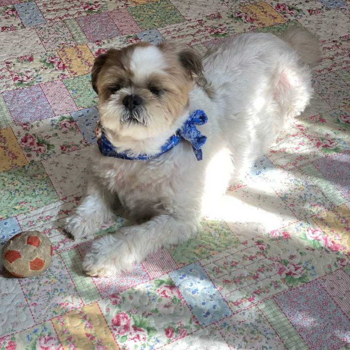 302cc791 c954 41e5 9946 cc4d9c2d3568 1633228002512