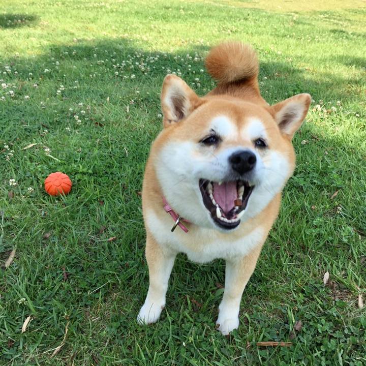 302cf3d2 7890 4d4a b74f 85a9b2b90449 1560003712674