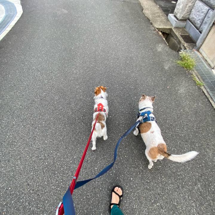 302d1a31 2c39 4025 b3bb f1254d1ccba5 1661207771898